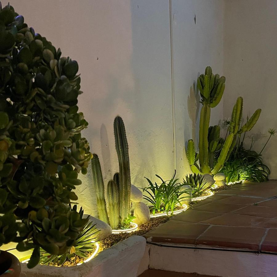 Terra Aloe Hotel Torremolinos Eksteriør billede