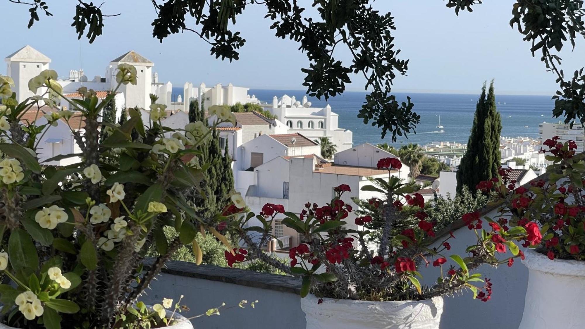 Terra Aloe Hotel Torremolinos Eksteriør billede